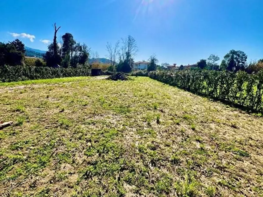 Immagine 3 di Villa in vendita  a Pietrasanta