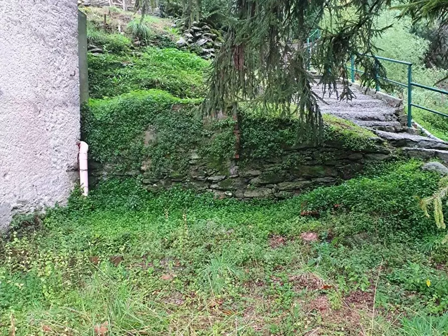 Immagine 8 di Villetta a schiera in vendita  a Seravezza