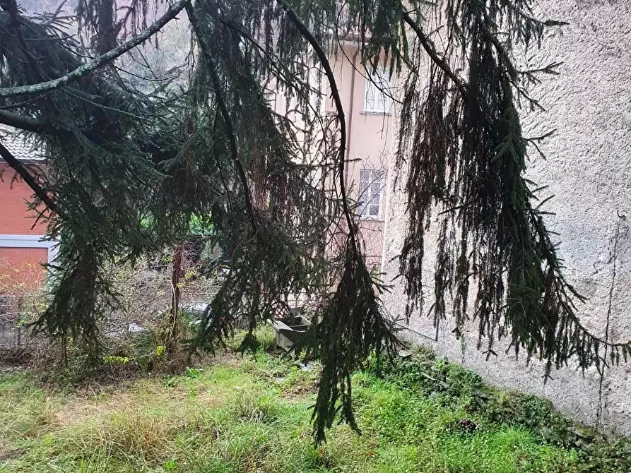 Immagine 12 di Villetta a schiera in vendita  a Seravezza