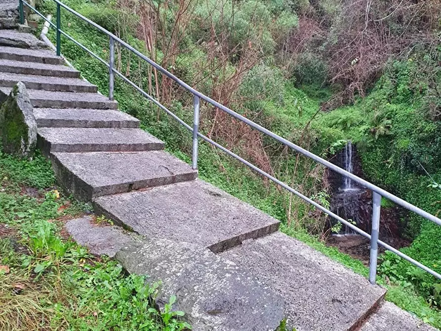 Immagine 7 di Villetta a schiera in vendita  a Seravezza