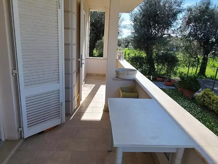 Immagine 39 di Villa in affitto  a Seravezza