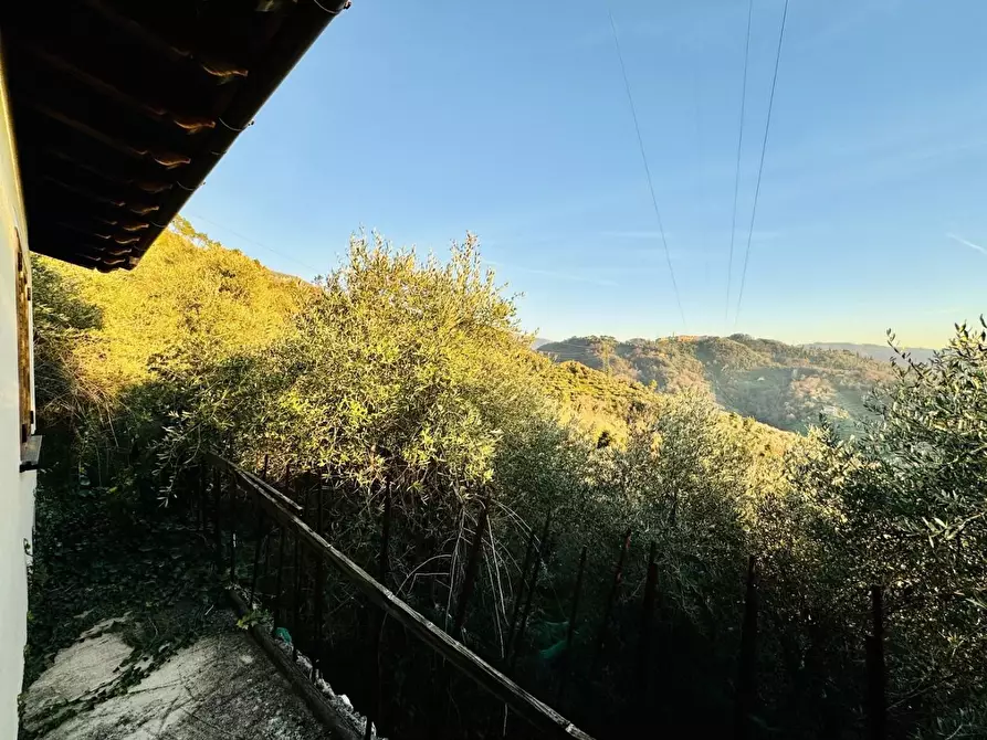 Immagine 7 di Rustico / casale in vendita  a Pietrasanta