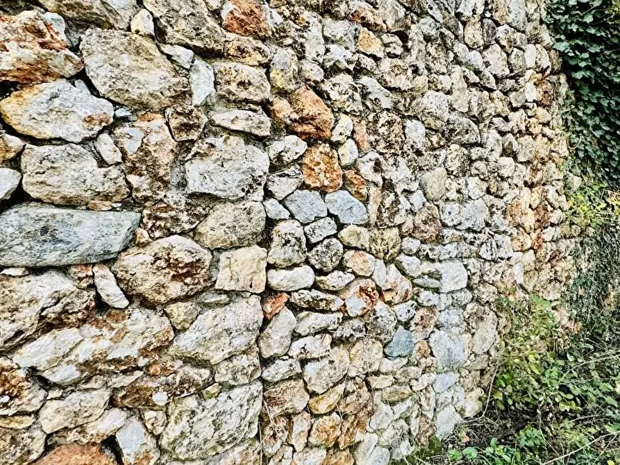 Immagine 3 di Rustico / casale in vendita  a Pietrasanta