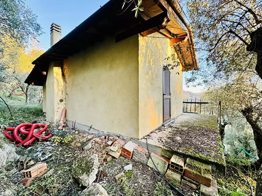 Immagine 5 di Rustico / casale in vendita  a Pietrasanta
