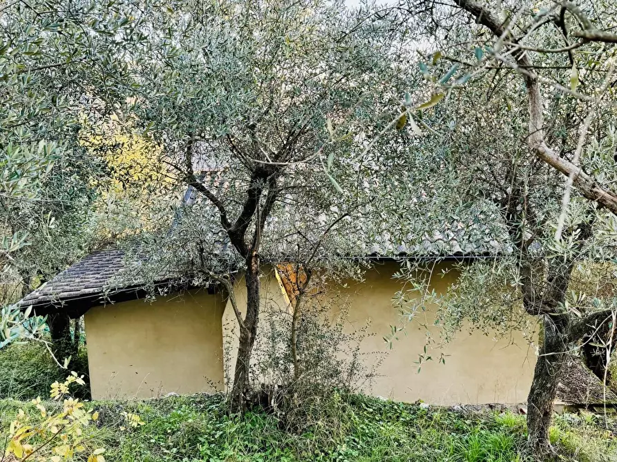 Immagine 11 di Rustico / casale in vendita  a Pietrasanta