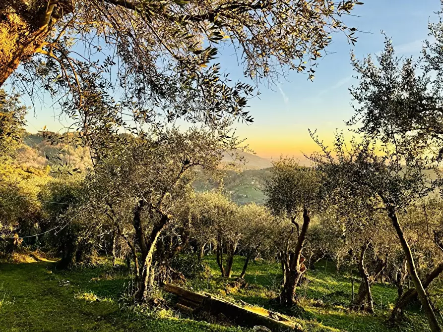Immagine 12 di Rustico / casale in vendita  a Pietrasanta