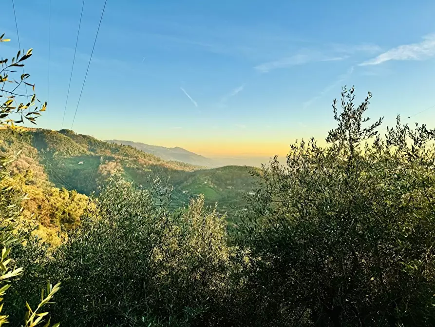 Immagine 9 di Rustico / casale in vendita  a Pietrasanta