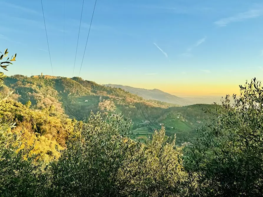 Immagine 8 di Rustico / casale in vendita  a Pietrasanta
