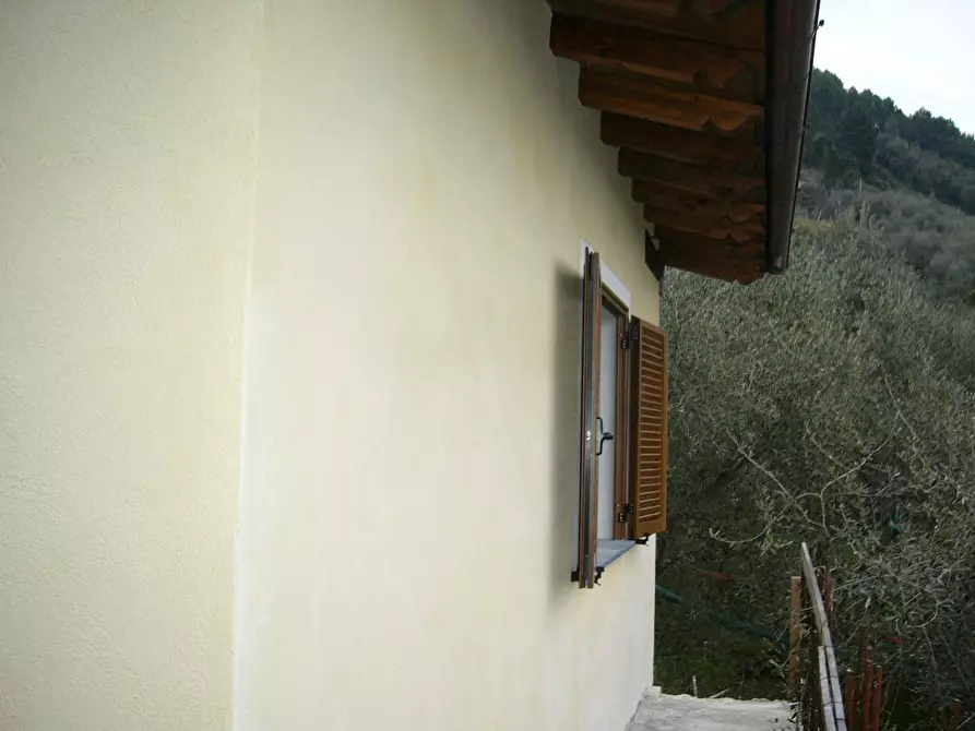 Immagine 15 di Rustico / casale in vendita  a Pietrasanta