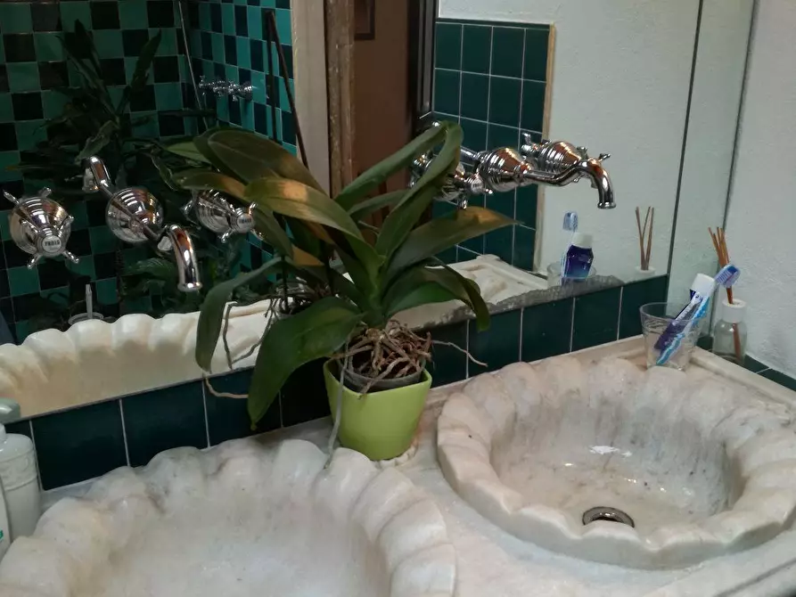 Immagine 13 di Appartamento in vendita  a Piombino