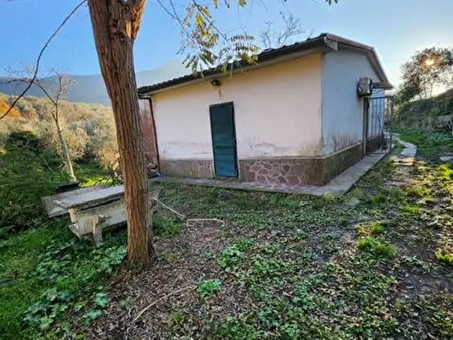 Immagine 3 di Casa indipendente in vendita  a Calci