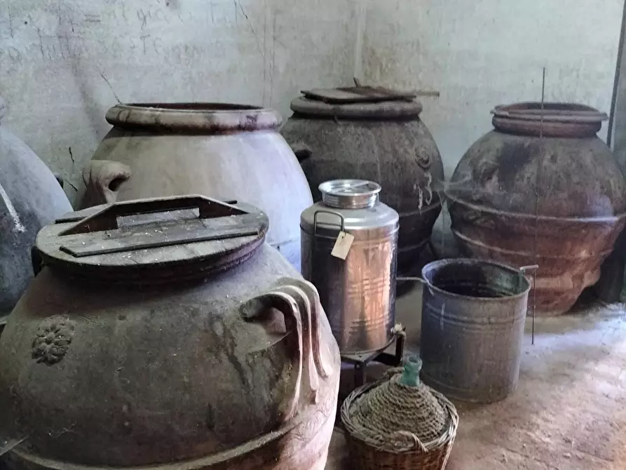 Immagine 15 di Immobile di prestigio in vendita  a Pisa