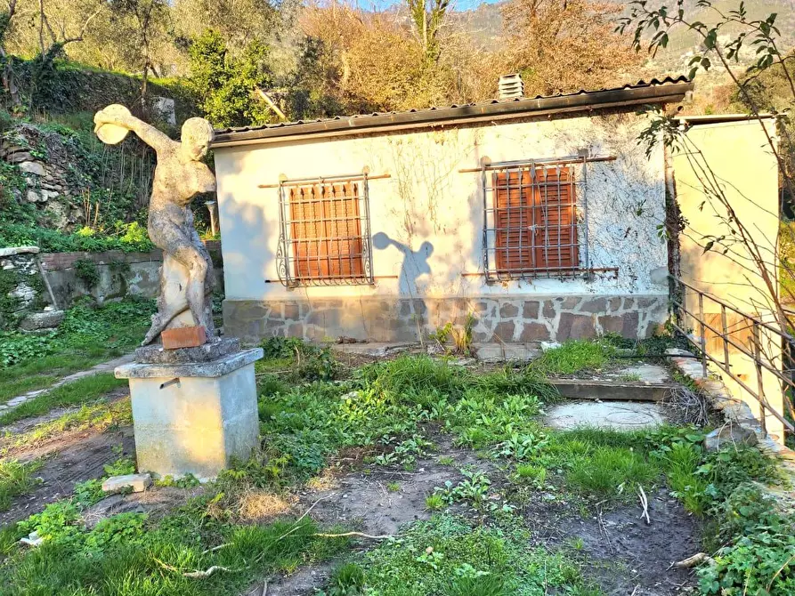 Immagine 5 di Casa indipendente in vendita  a Calci