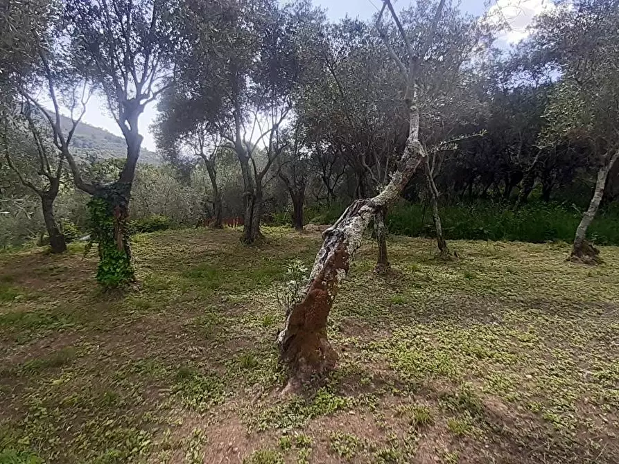 Immagine 14 di Casa indipendente in vendita  a Calci