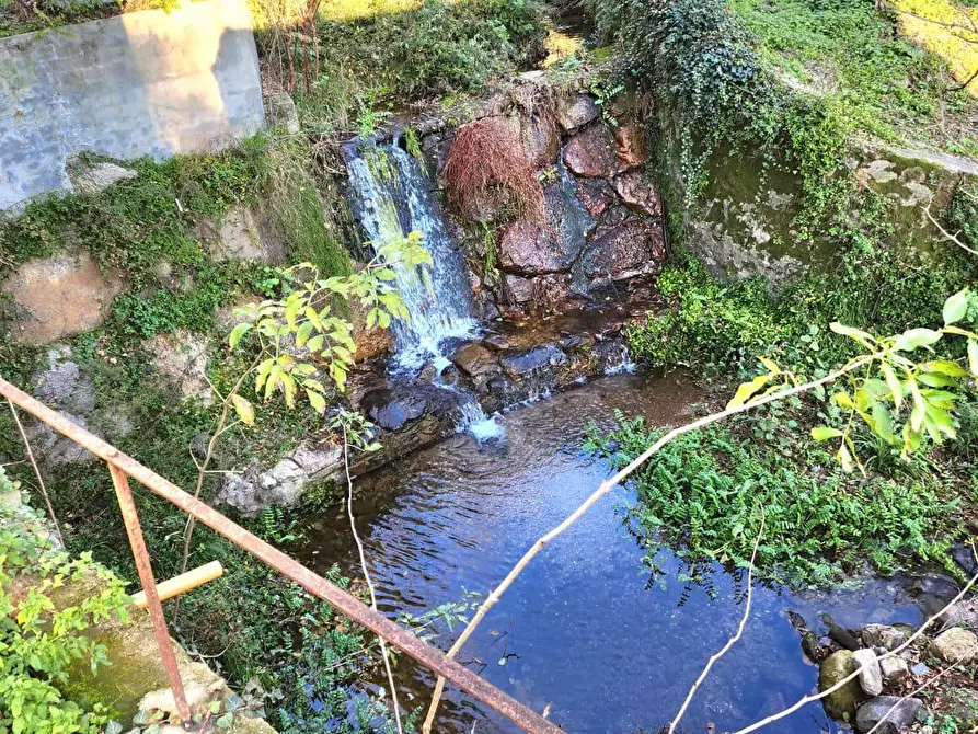 Immagine 11 di Casa indipendente in vendita  a Calci