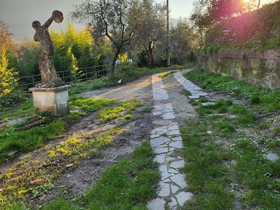 Immagine 7 di Casa indipendente in vendita  a Calci