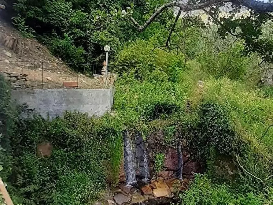 Immagine 19 di Casa indipendente in vendita  a Calci