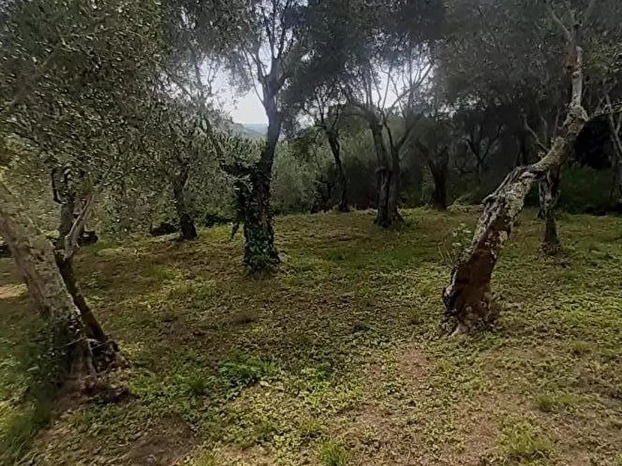 Immagine 13 di Casa indipendente in vendita  a Calci