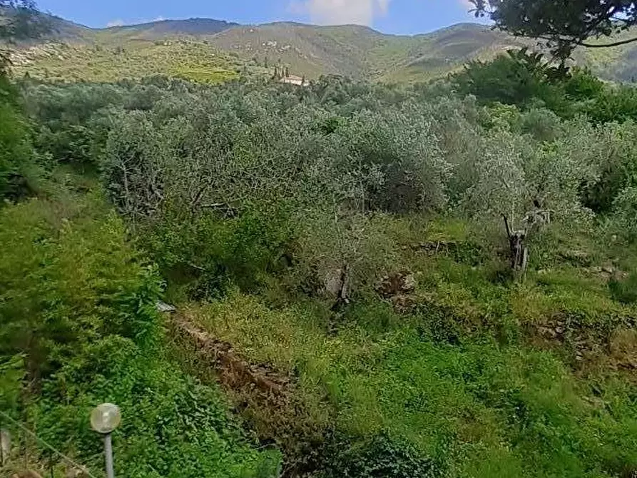 Immagine 16 di Casa indipendente in vendita  a Calci