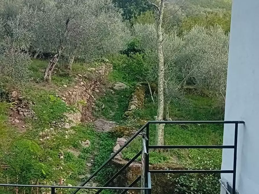 Immagine 15 di Casa indipendente in vendita  a Calci