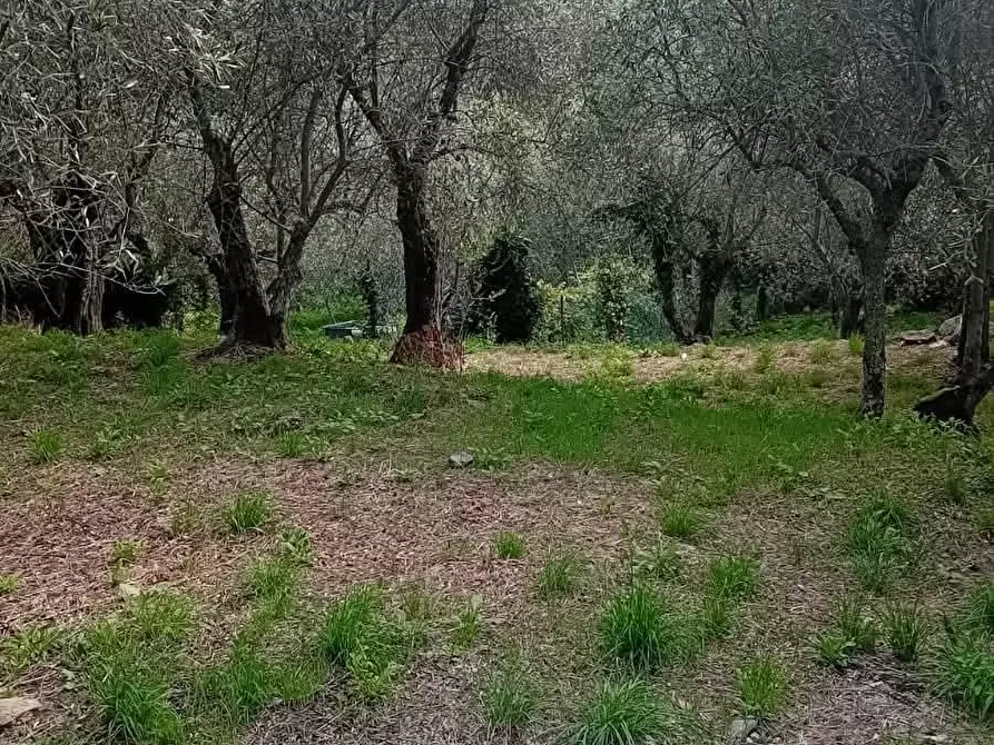 Immagine 17 di Casa indipendente in vendita  a Calci