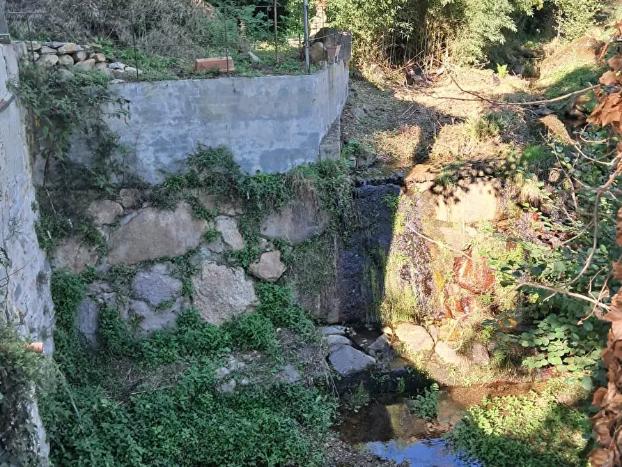 Immagine 16 di Casa indipendente in vendita  a Calci