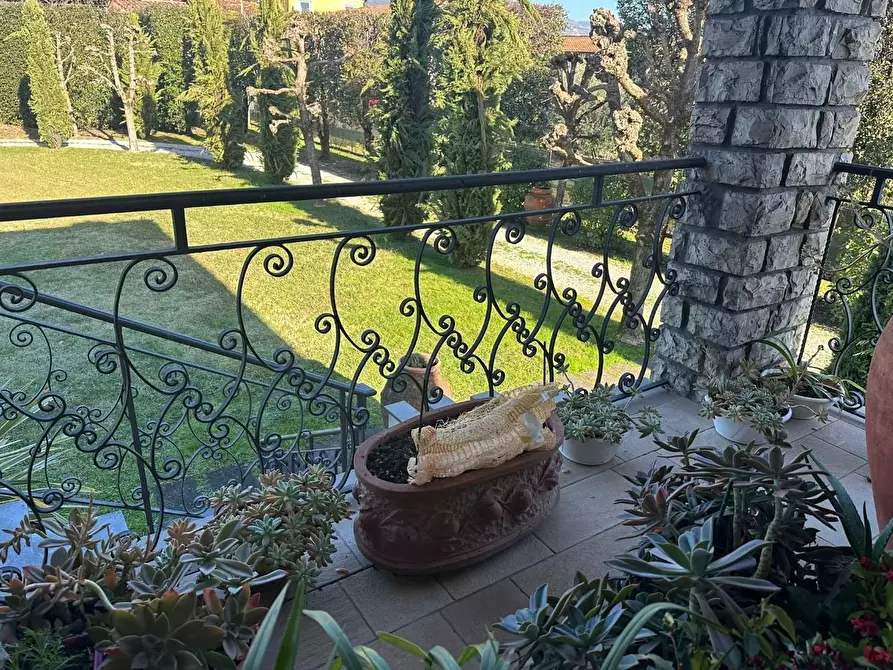 Immagine 21 di Villa in vendita  a Capannori