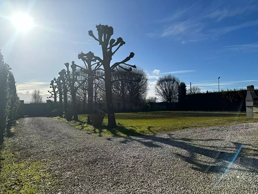 Immagine 4 di Villa in vendita  a Capannori