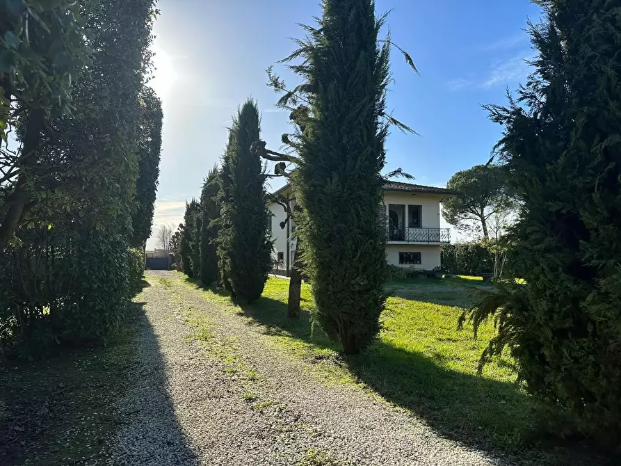 Immagine 3 di Villa in vendita  a Capannori