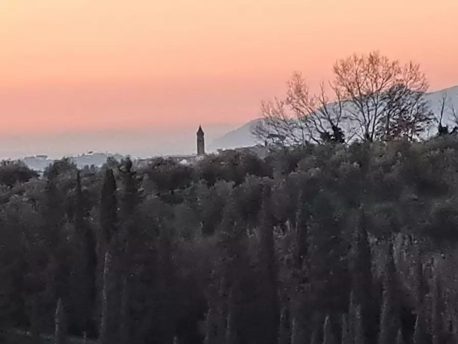 Immagine 62 di Palazzo in vendita  a Peccioli