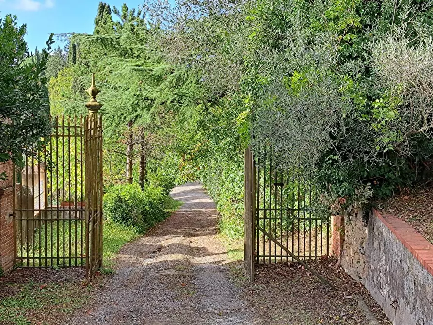 Immagine 4 di Palazzo in vendita  a Peccioli