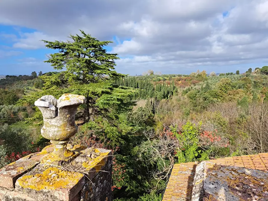 Immagine 20 di Palazzo in vendita  a Peccioli