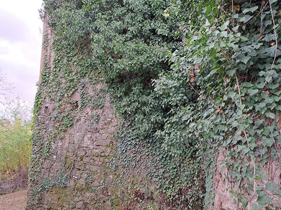 Immagine 45 di Palazzo in vendita  a Peccioli