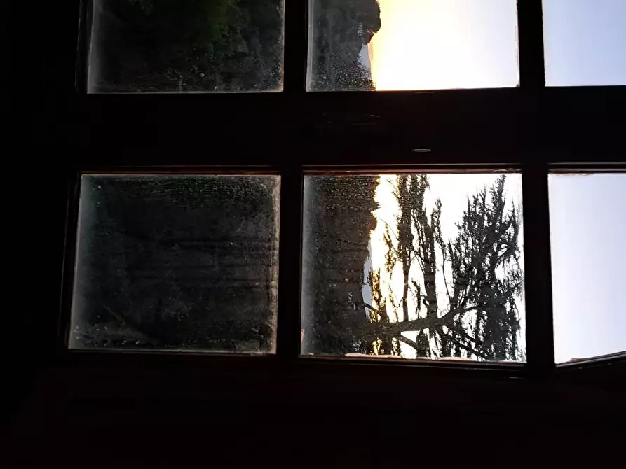 Immagine 59 di Palazzo in vendita  a Peccioli