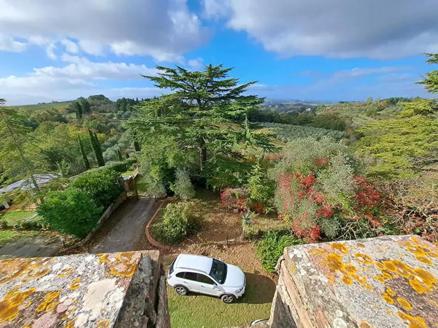 Immagine 58 di Palazzo in vendita  a Peccioli