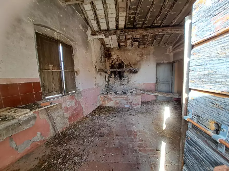 Immagine 56 di Palazzo in vendita  a Peccioli