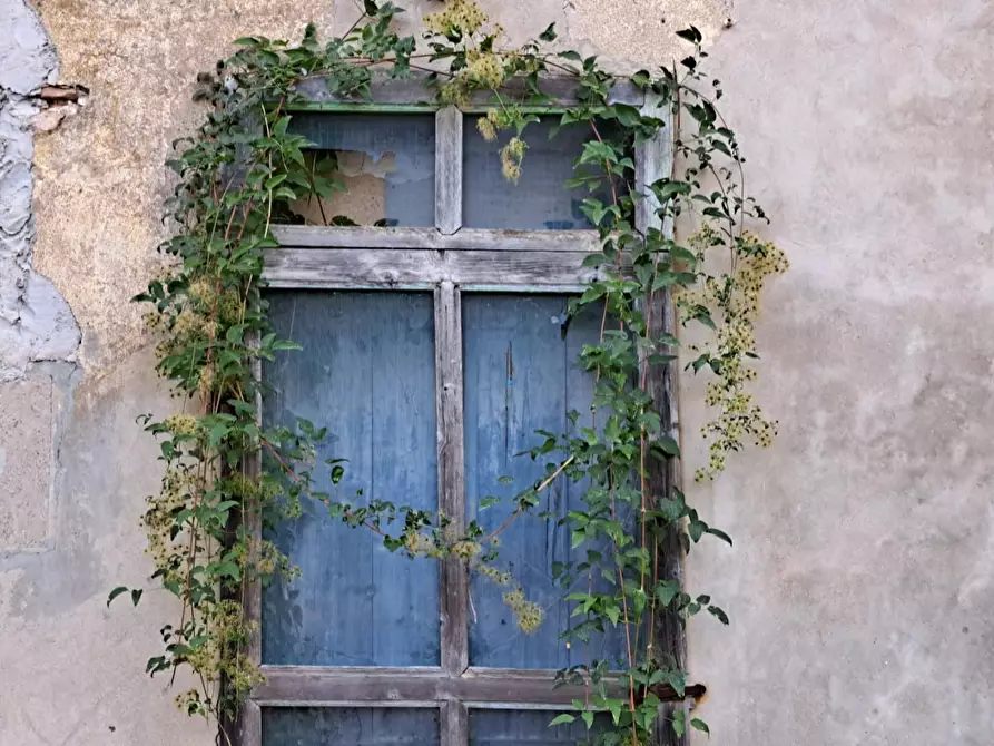 Immagine 57 di Palazzo in vendita  a Peccioli