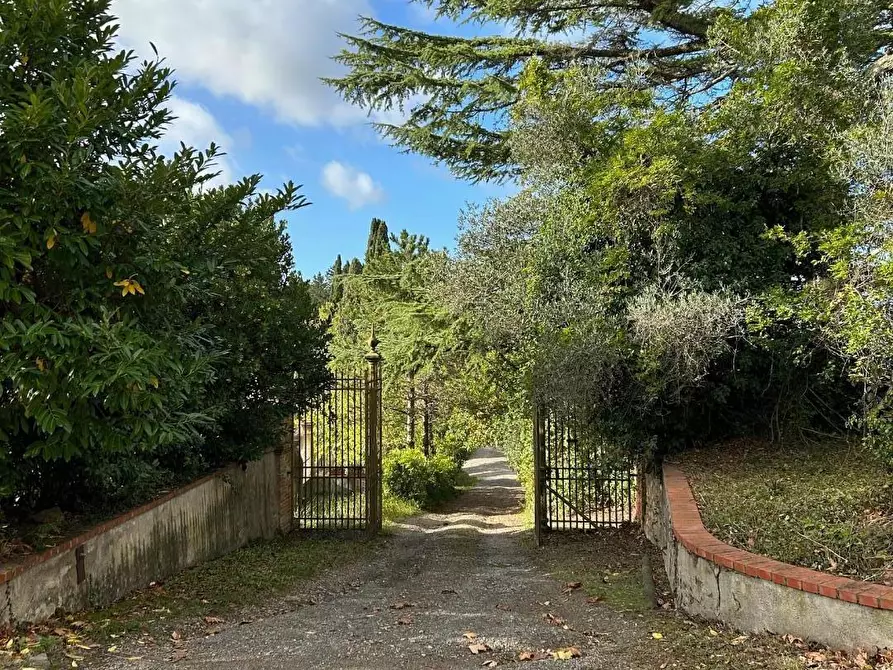 Immagine 13 di Palazzo in vendita  a Peccioli