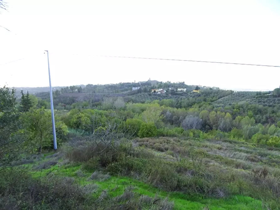 Immagine 1 di Terreno agricolo in vendita  a San Miniato