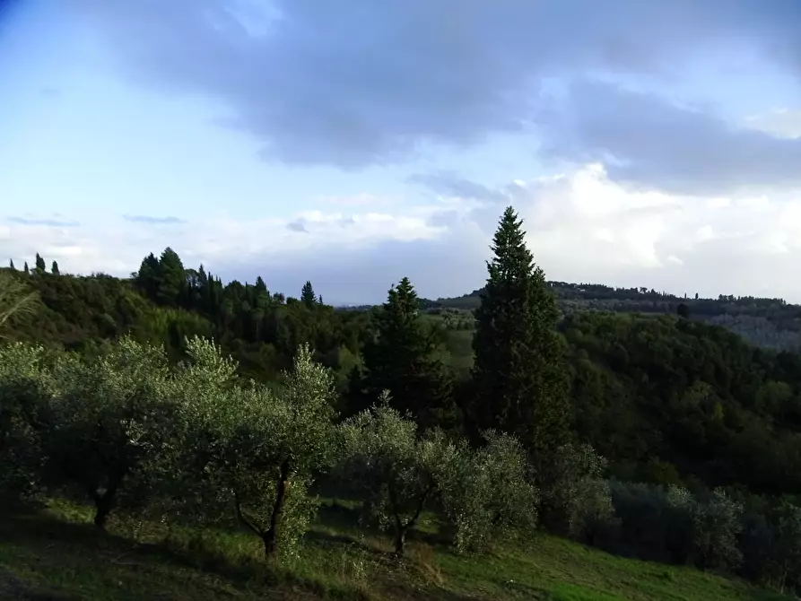 Immagine 4 di Terreno agricolo in vendita  a San Miniato
