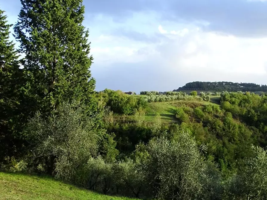Immagine 6 di Terreno agricolo in vendita  a San Miniato