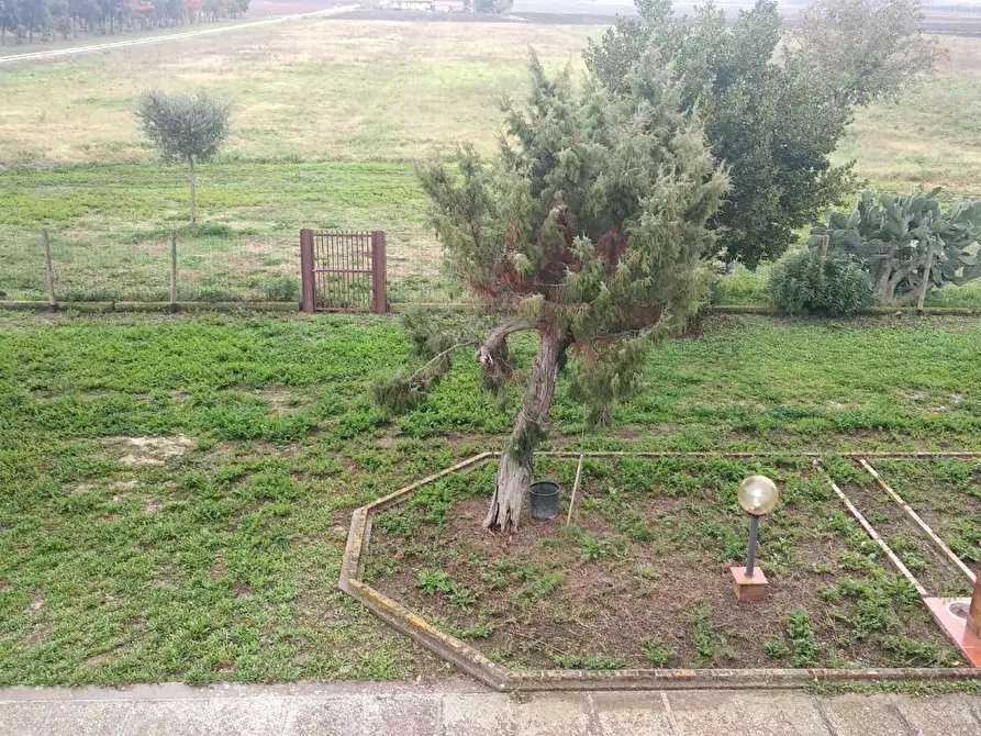 Immagine 1 di Terreno agricolo in vendita  a Grosseto