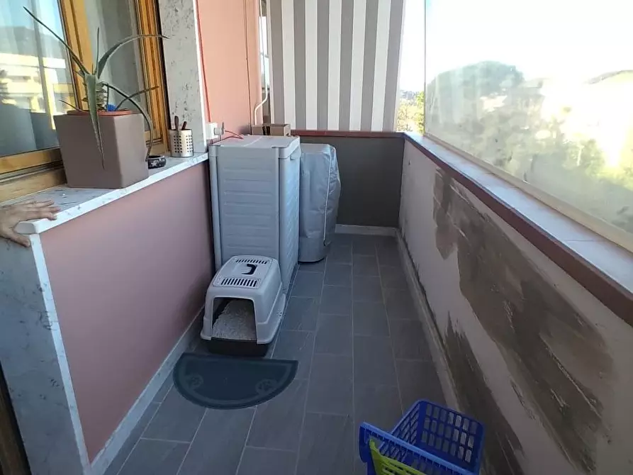 Immagine 8 di Appartamento in vendita  a Carrara