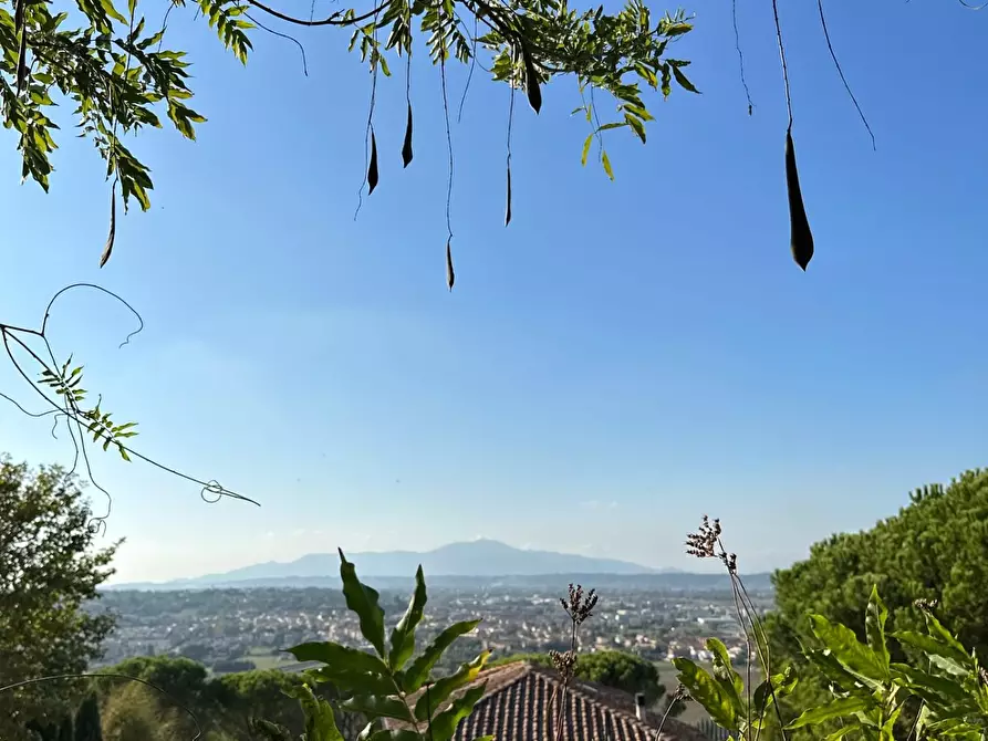 Immagine 61 di Villa in vendita  a San Miniato