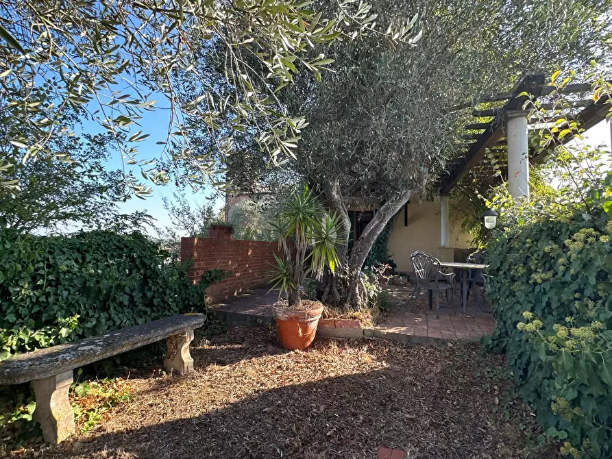 Immagine 55 di Villa in vendita  a San Miniato