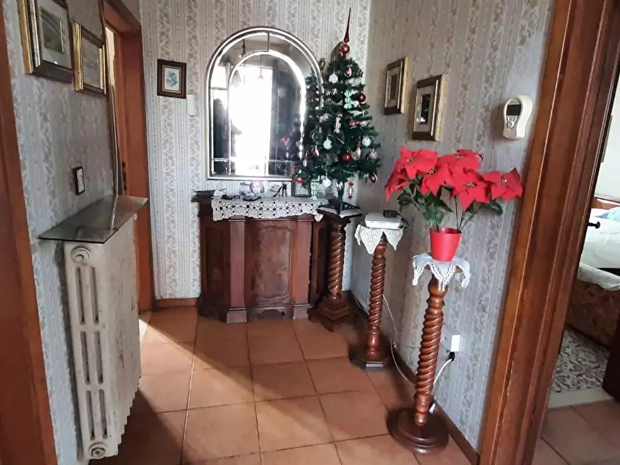 Immagine 1 di Casa bifamiliare in vendita  a Cecina