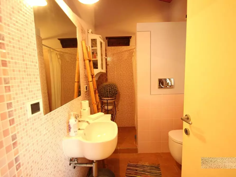 Immagine 23 di Villa in vendita  a Capannori