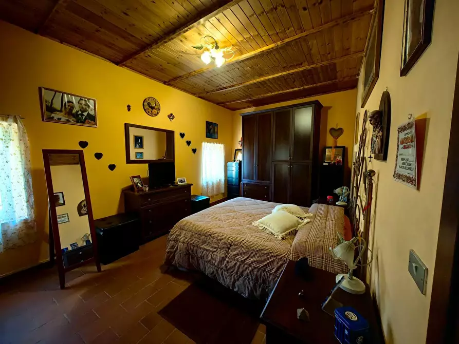 Immagine 10 di Terratetto in vendita  a Crespina Lorenzana