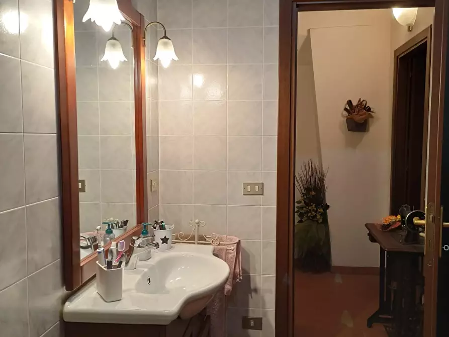 Immagine 16 di Terratetto in vendita  a Crespina Lorenzana