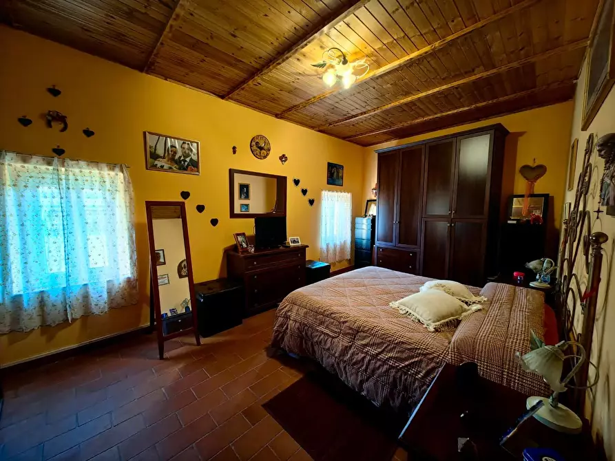 Immagine 11 di Terratetto in vendita  a Crespina Lorenzana